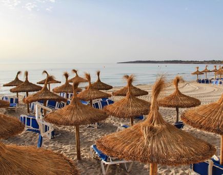 Sonnenschirme und Liegen am Strand von Cala Millor