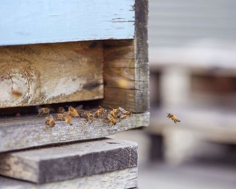 Scandic Berlin Potsdamer Platz-4