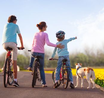 Eine Gruppe von Menschen, die vor einer Windmühle und Tulpenfeldern stehen.