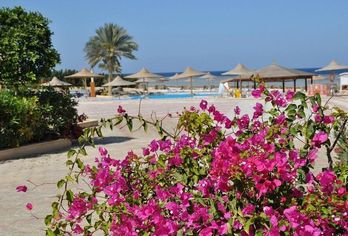 Hotel, Shoni Bay