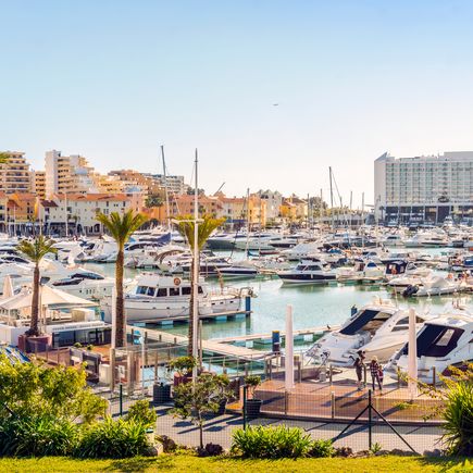 Blick auf einen kleinen Hafen in Faro. Boote und Palmen