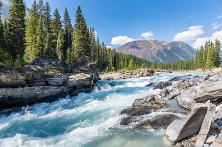 Reissender Fluss in British Columbia. Im Hintergrund Bäume und Berge