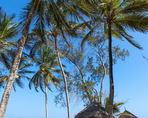 Turtle Bay Beach Club-4