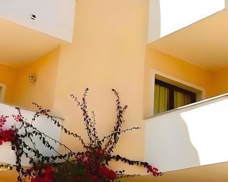Hotel Palau City-3
