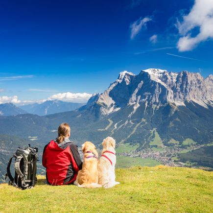 Familienurlaub Hund Mann und zwei Hunde schauen auf die Zugspitze