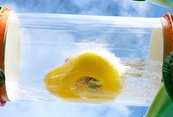 Hotel, Freizeit- & Ferienpark Slagharen