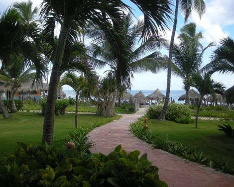 VIK Hotel Arena Blanca-3