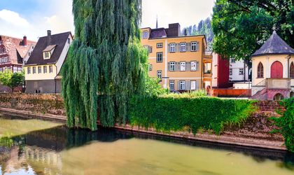 Ein Gebäude am Wasser mit einer Brücke und einem Park.