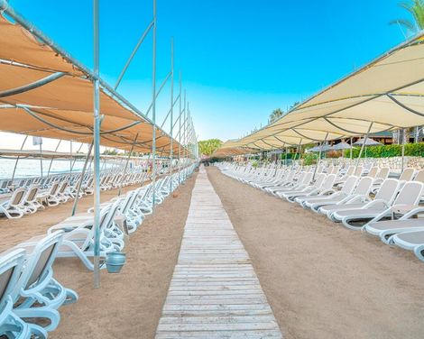 Leodikya Kirman Premium-1