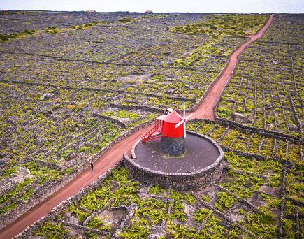 Eine rote Windmühle auf einer grünen Wiese.