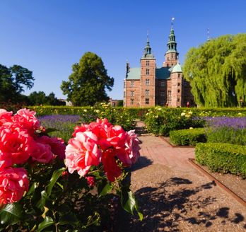 Ein Garten mit rosafarbenen Blumen und einem Schloss im Hintergrund.