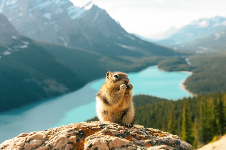 West Canada Rundreise