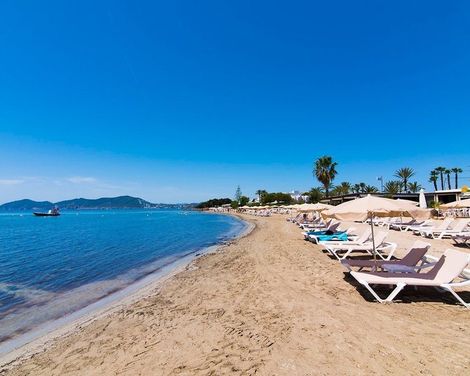 Fergus Style Punta Arabi-1