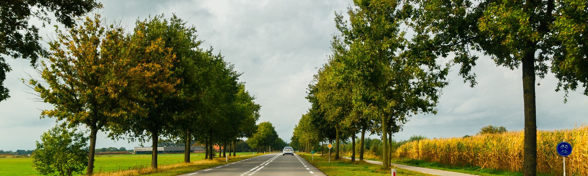 Eine Landstraße in Holland. Links und rechts Bäume, ganz vorne fährt ein kleines Auto.