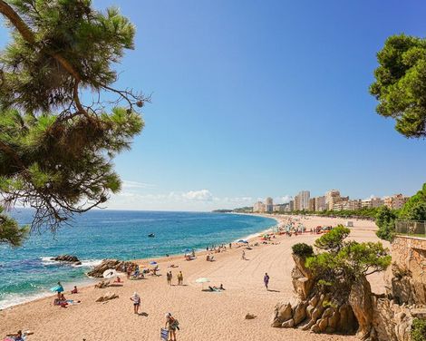 htop Platja Park-3