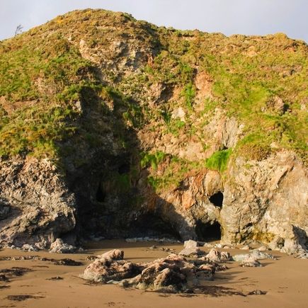 Miene Copper Coast