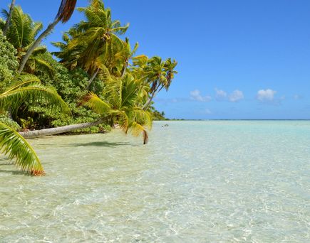 LF_Rangiroa_Strand_Franzo╠êsisch-Polynesien_