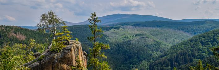 Rabenklippe Bad Harzburg Panorama