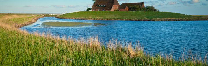Hallig Hooge