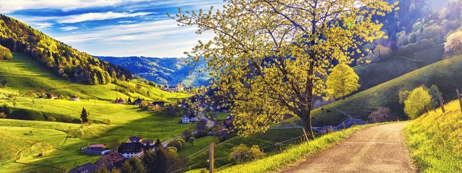 Wanderweg im Schwarzwald