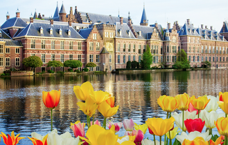 Das Binnenhof-Parlament in Den Haag spiegelt sich im Wasser, davor blühen gelbe und rote Tulpen.