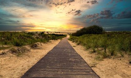 Ein Holzsteg entlang des Strandes, sonniger Tag.