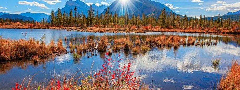 Indian Summer Natur in rot