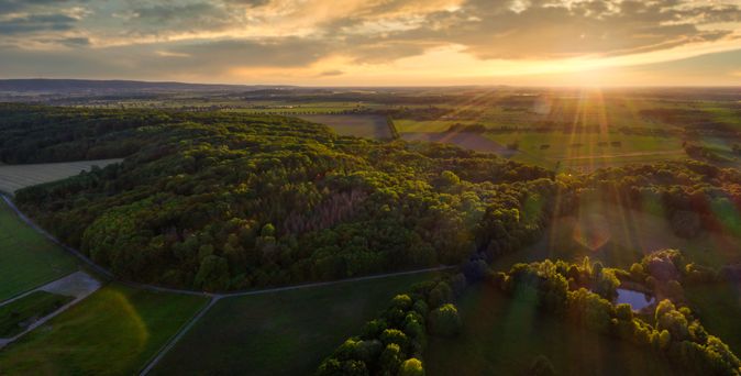 Ein idyllischer Pfad führt durch blühende Heide am Benther Berg im Calenberger Land, umgeben von Bäumen und sanften Hügeln unter einem bewölkten Himmel.