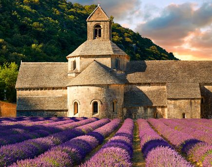 Lavendelfelder mit einem historischen Kloster im Hintergrund in der Provence, Frankreich.