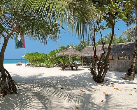 The Barefoot Eco Hotel-1