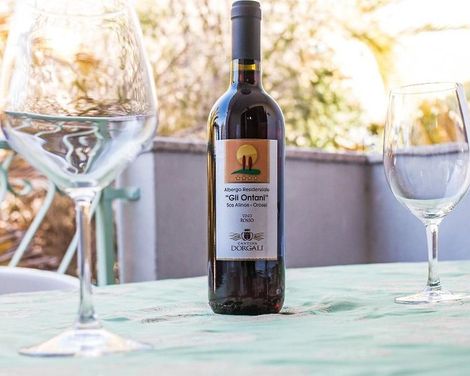 Gli Ontani Hotel Residence-2