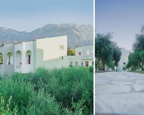 Vardis Olive Garden-1