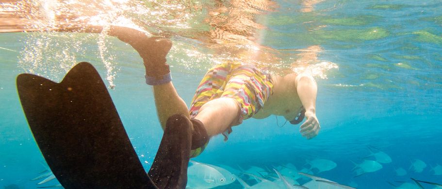 Eine Nahaufnahme unter Wasser zeigt einen Schwarm tropischer Fische, die um bunte Korallen herumschwimmen, in klarem, blauem Meerwasser.