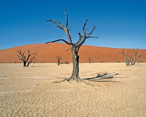 ADAC Special Kontrastreiches Namibia-3
