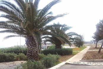 Hotel, Apulia 70 Holidays