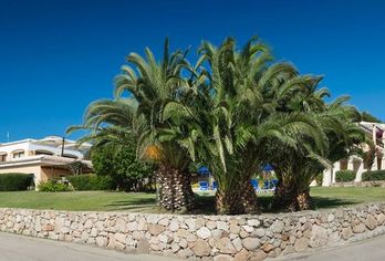 Hotel, Myo Hotel Stelle Marine
