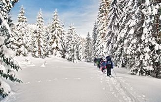 Winterwanderung im Schnee