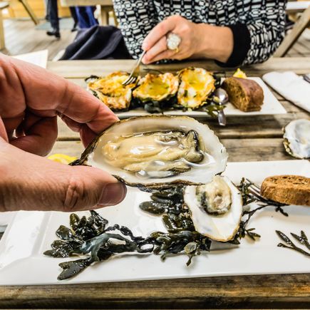 Austern sind eine exklusive Köstlichkeit direkt aus der Oosterschelde