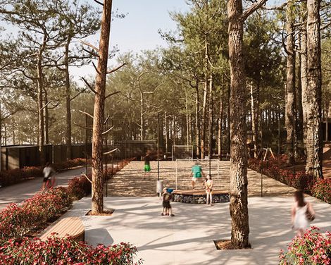 Pinadria Adriatic Coast-1