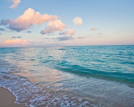 Holiday Inn Miami Beach Oceanfront-1