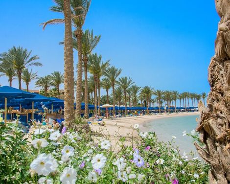 Continental Hotel Hurghada-2