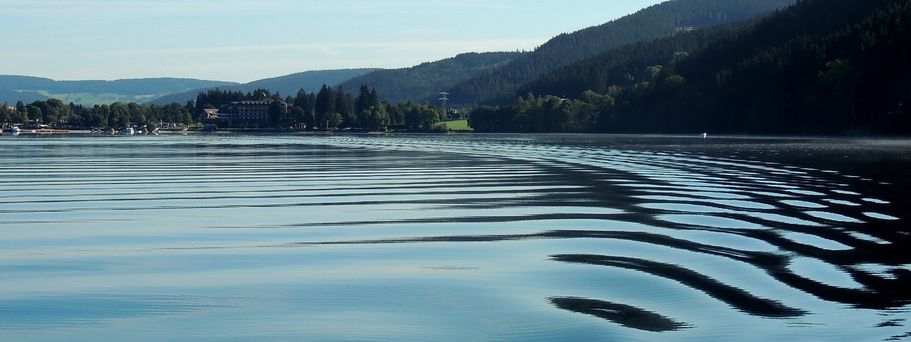 Eine Luftaufnahme eines Sees, umgeben von bewaldeten Hügeln.