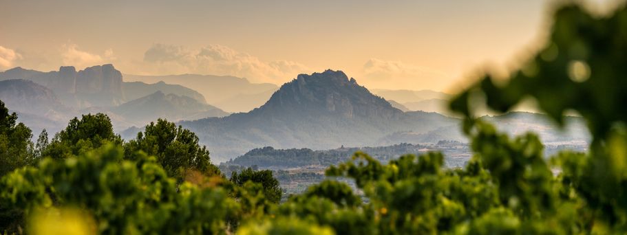 Naturpark els Ports mit Berg im Hintergrund