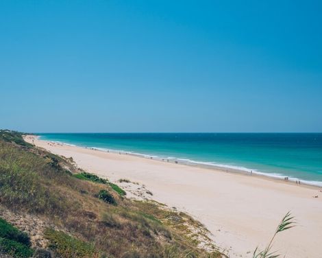 Iberostar Waves Royal Andalus-0