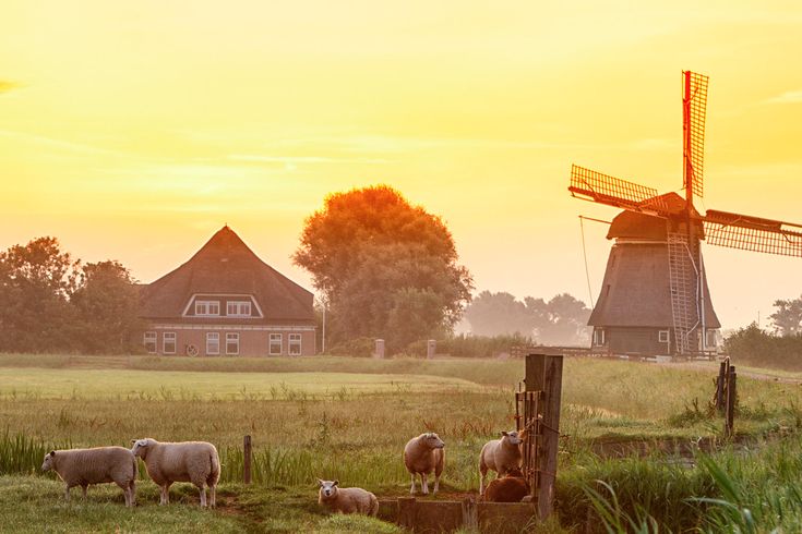 Aussicht auf eine Windmühle bei Sonnenuntergang 