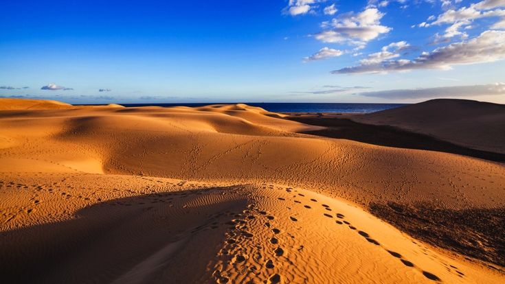 Sanddünen in einer Wüstenlandschaft.