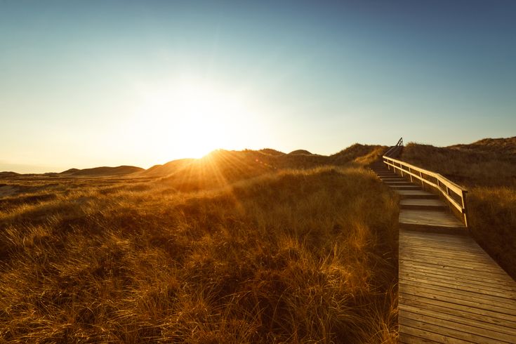 Dünen im Sonnenlicht