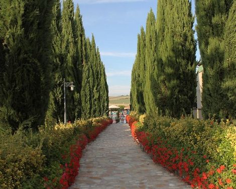Hotel Fattoria Belvedere-3