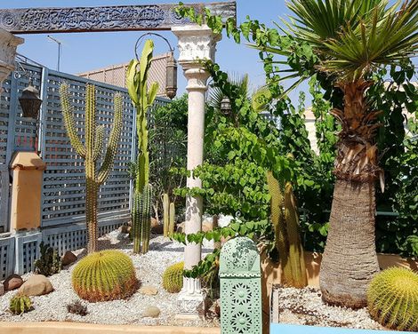 Riad Armelle-3