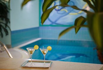 Hotel, Hotel Villa Bacchus